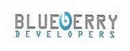 Blueberry Developers logo