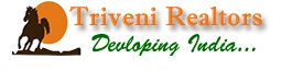 Triveni Realtors logo