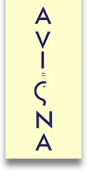 Avigna Projects logo