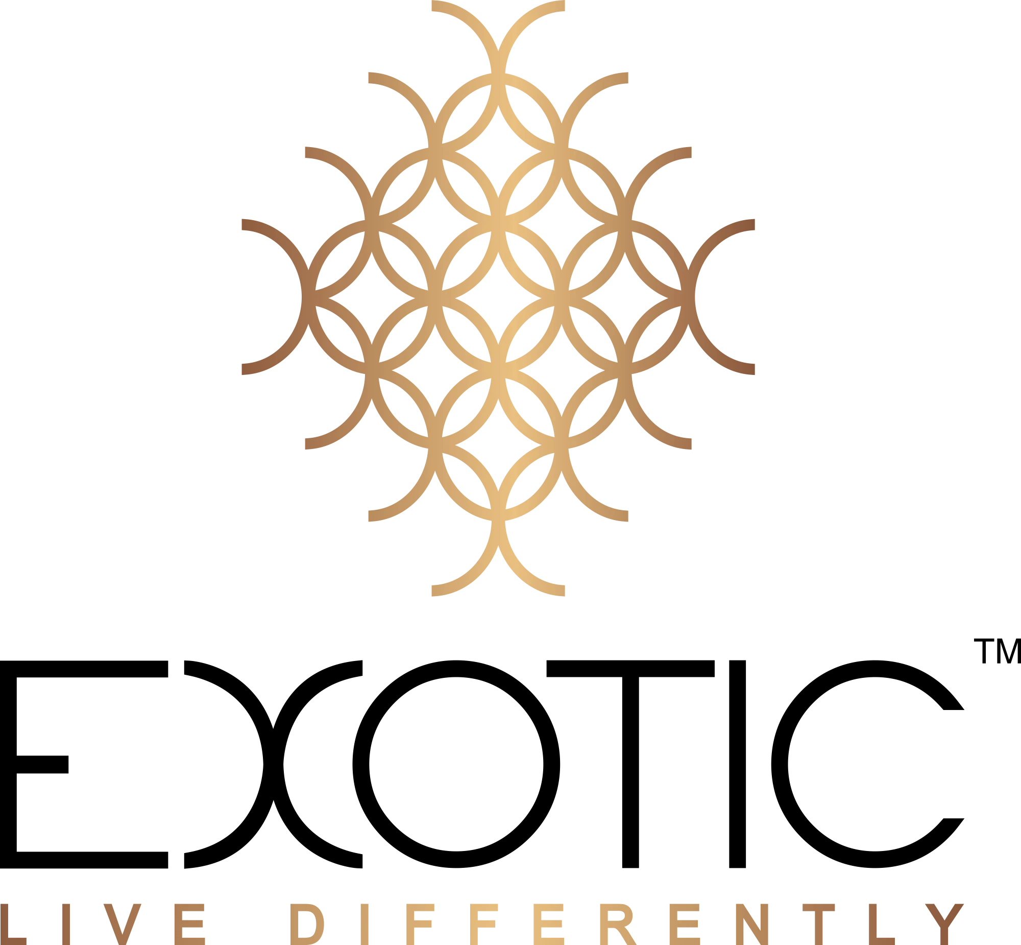 Exotic Builders logo