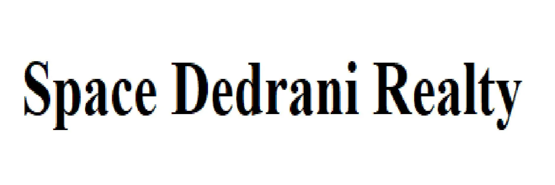 Space Dedrani Realty logo