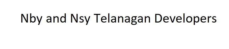Nby and Nsy Telanagan Developers logo