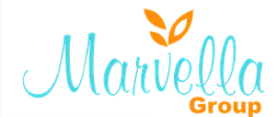Marvella Group logo