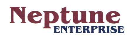 NEPTUNE ENTERPRISE logo