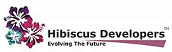 Hibiscus Developers logo
