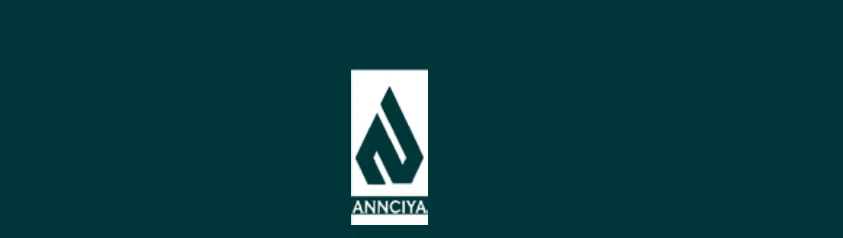 Annciya Projects LLP logo