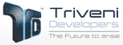 Triveni Developers logo