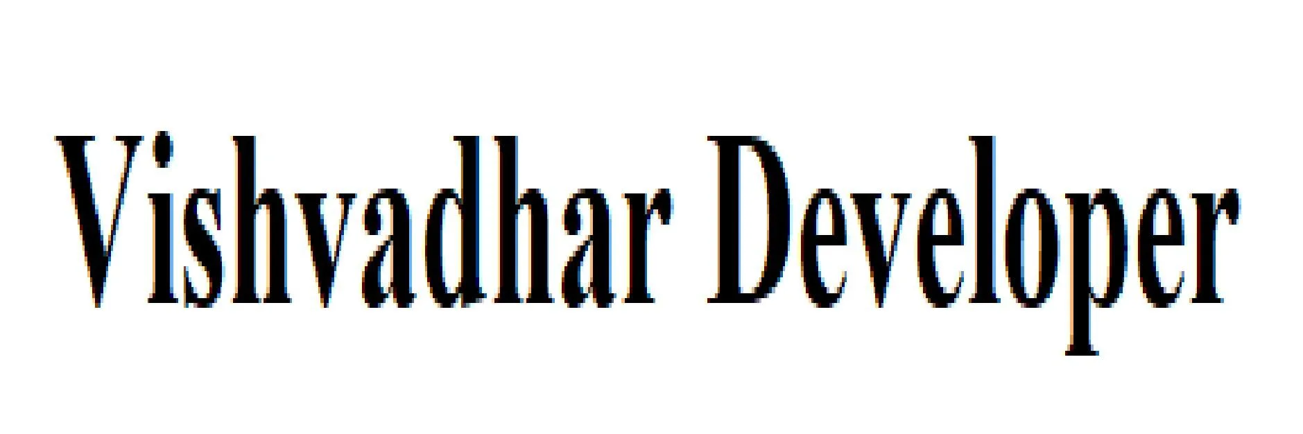 Vishvadhar Developer logo