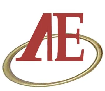 Ayan Enterprises logo