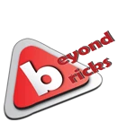 Beyond Bricks Realtor logo