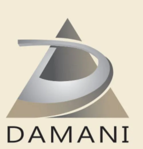 Damani Ventures logo