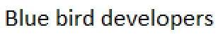 Blue Bird Developers logo