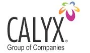 Calyx Group photo