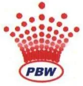 Punit Buildwell logo
