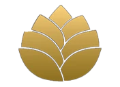Devtaa Developers logo