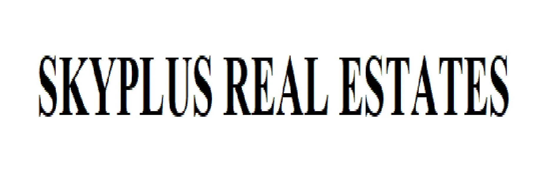 Skyplus Real Estates logo