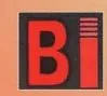 Boraj Infrastructure logo