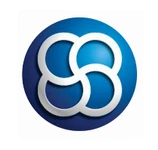 Platinum Properties logo