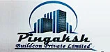 Pingaksh Buildcon Pvt Ltd logo