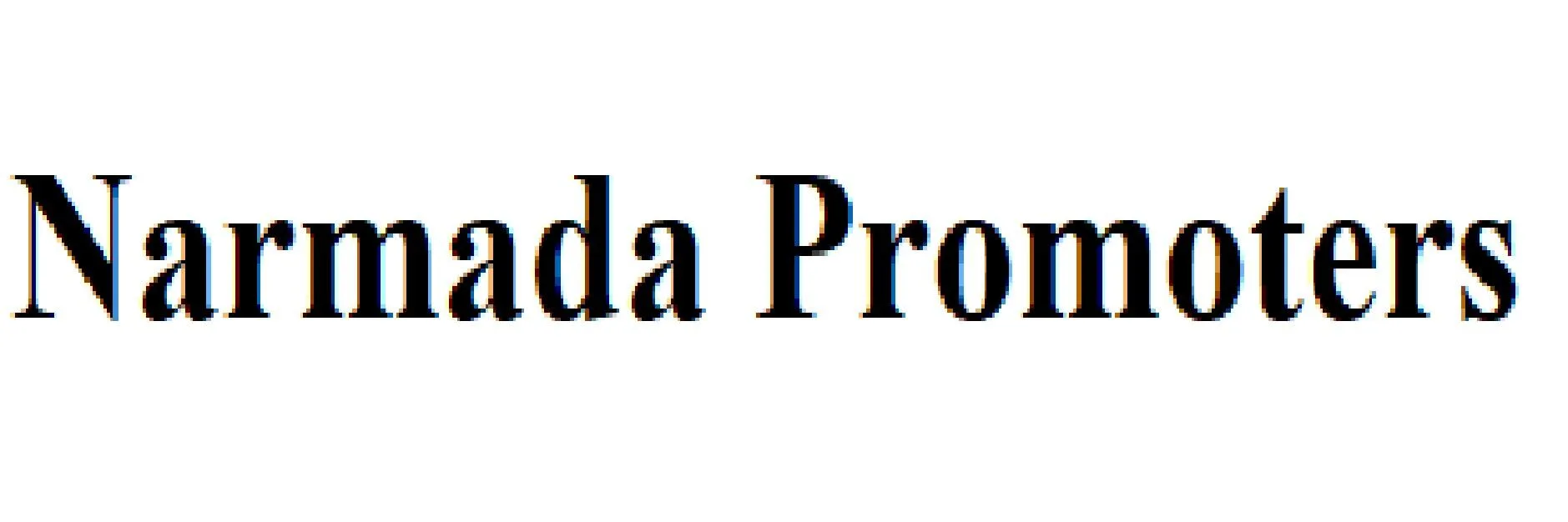 Narmada Promoters photo
