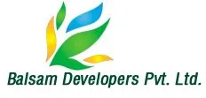 Balsam Developers photo