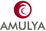 Amulya Construction Banglore logo