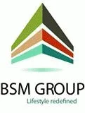 BSM Group logo