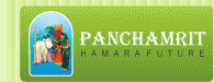 Panchamrit Developers And Constructions logo