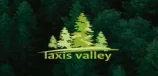 Laxis Infrastructure Pvt Ltd logo