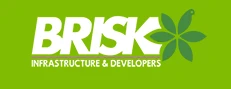 Brisk Infrastructure logo