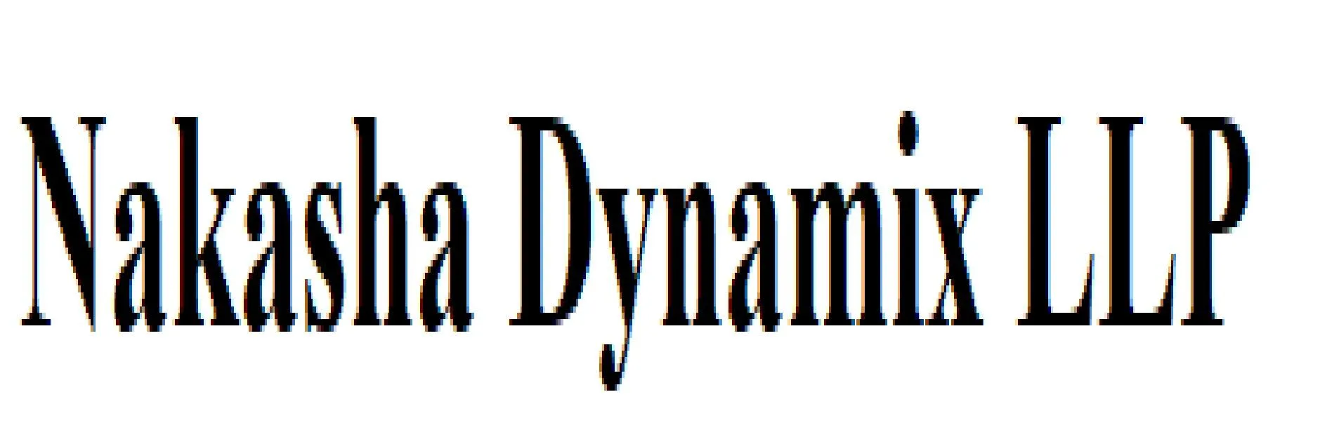 Nakasha Dynamix LLP logo