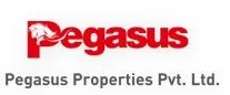 Pegasus Properties logo