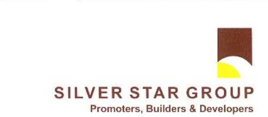 Silver Star Group logo