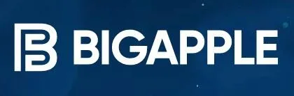 Bigapple Ventures LLP logo