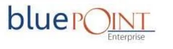 Blue Point Enterprise logo