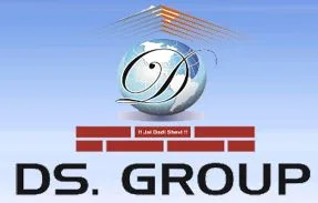 DS Group logo