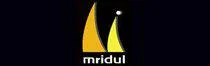 Mridul Buildtech Builders photo