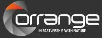 Group Orrange logo