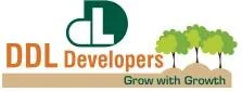 DDL Developers photo
