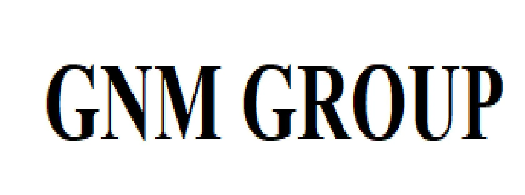 GNM Group logo