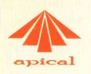 Apical Buildtech logo
