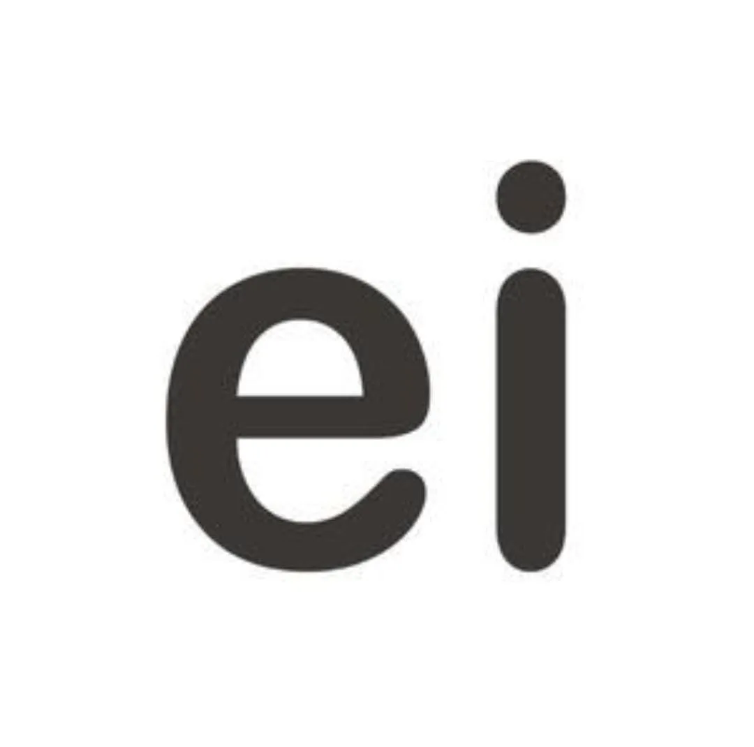 ei Holdings logo