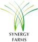 Synergy Properties Builders logo