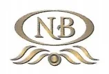 Nanasaheb Bhintade Spacess logo