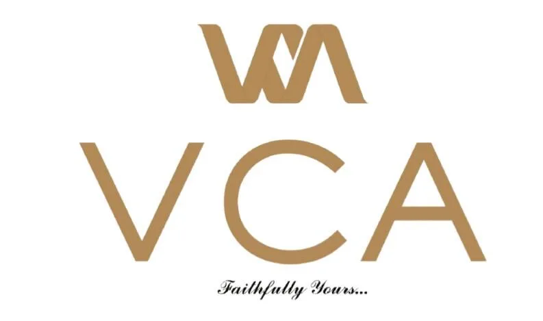 Vilas Chaudhary And Associates logo