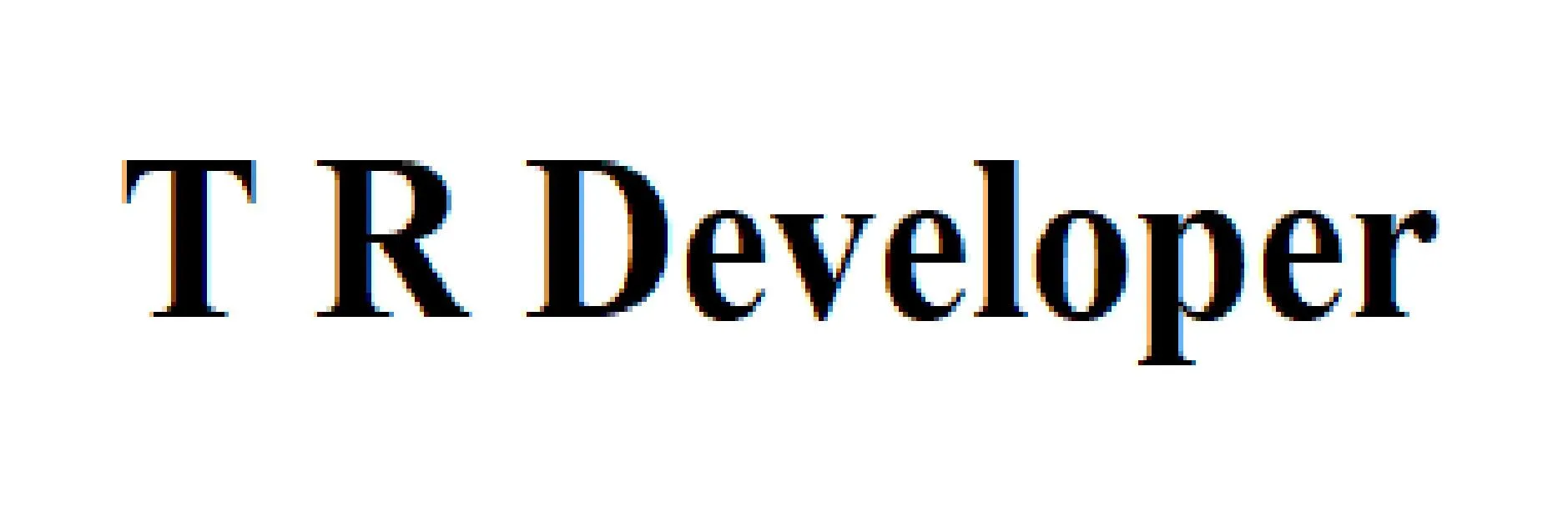 T R Developer logo