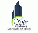 SLV Ventures logo
