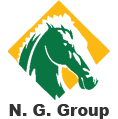 NG Group logo