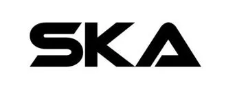 Shri Krishna Associates logo