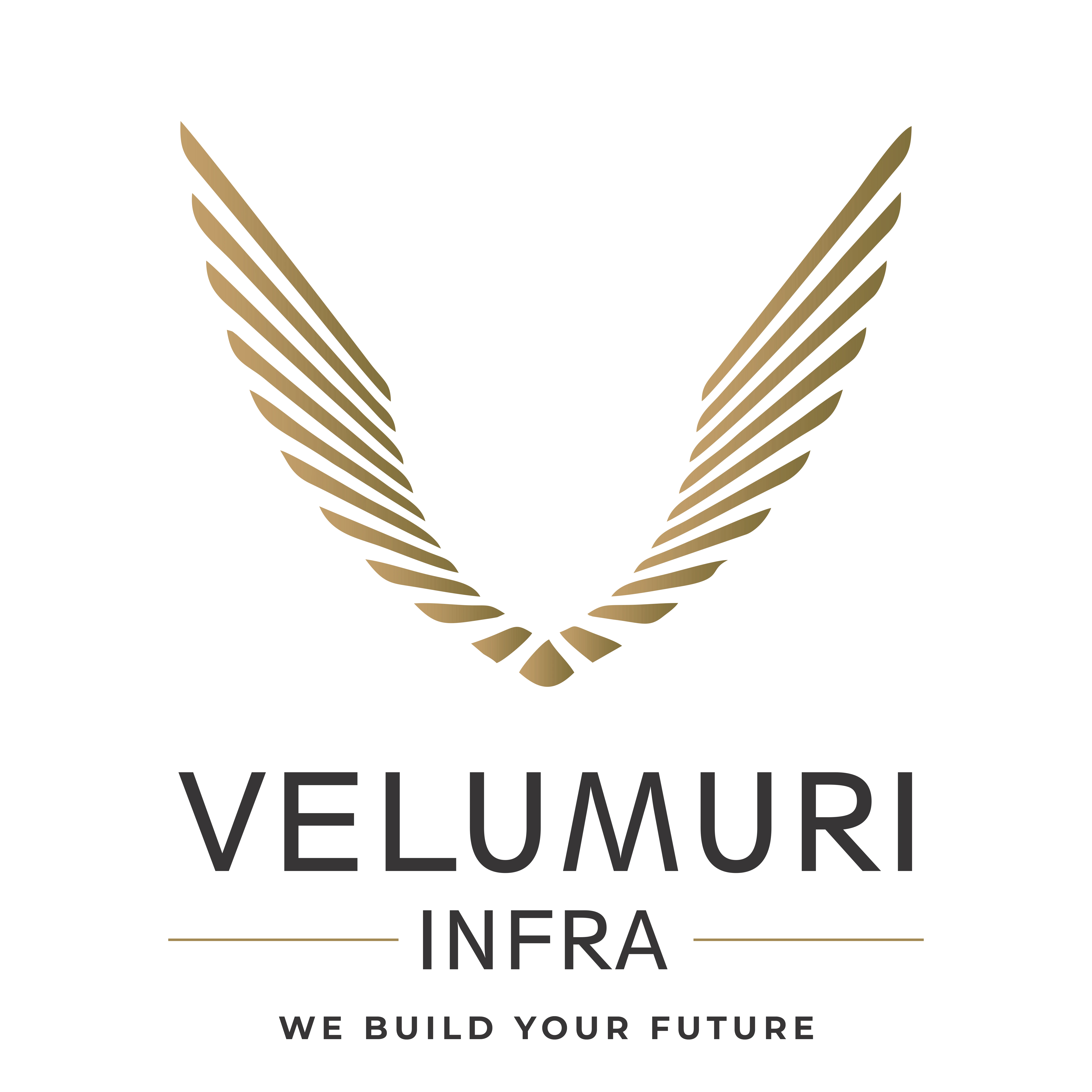 Velumuri Infra Pvt Ltd logo